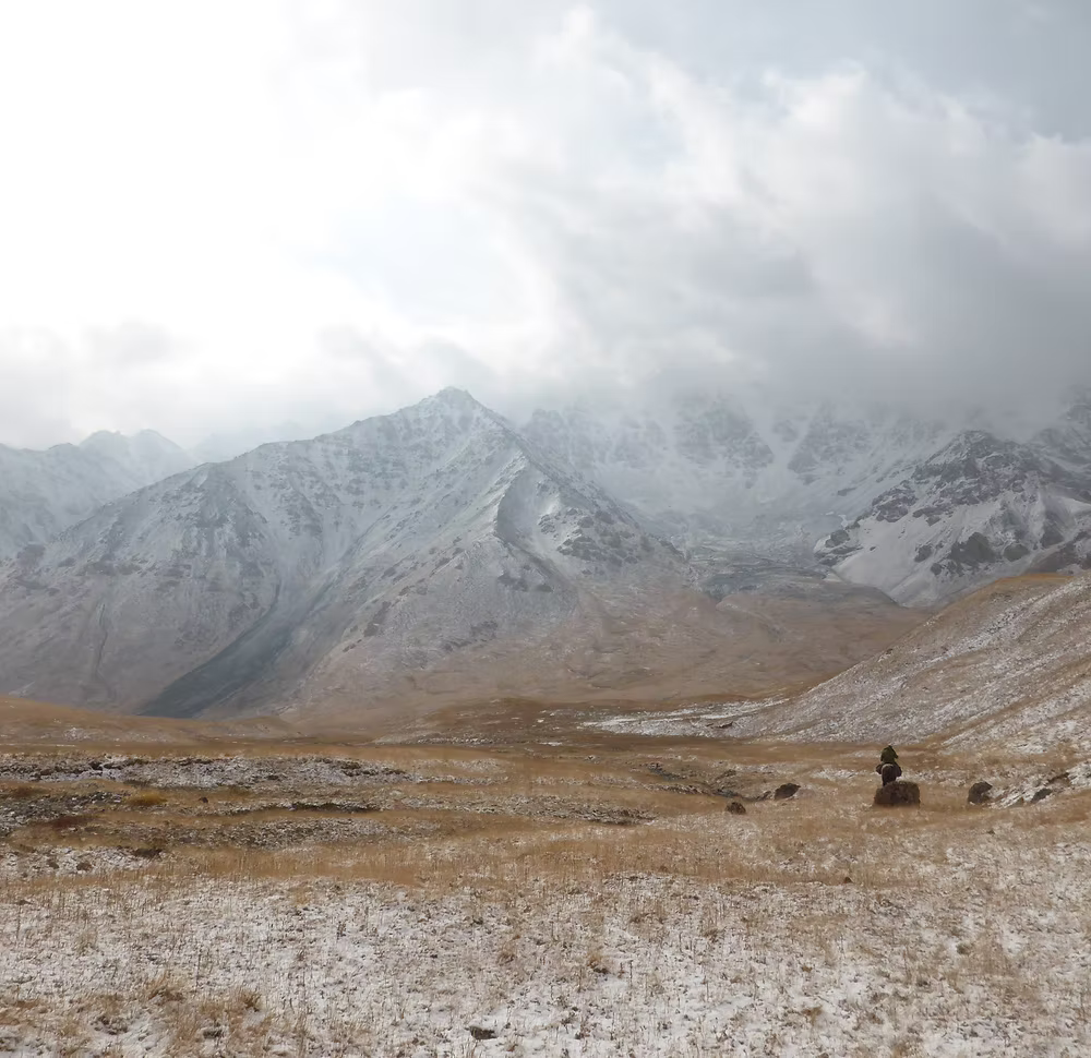 Miel blanc du Kirghizistan