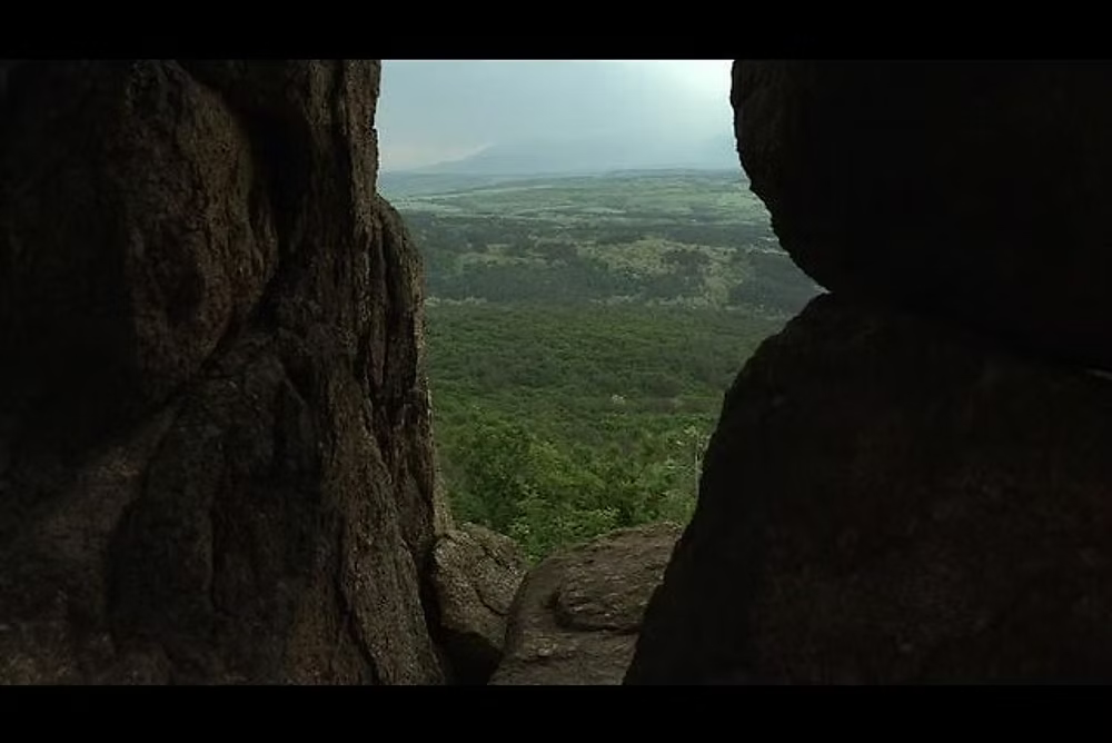 Miel d'Acacia en Rayon