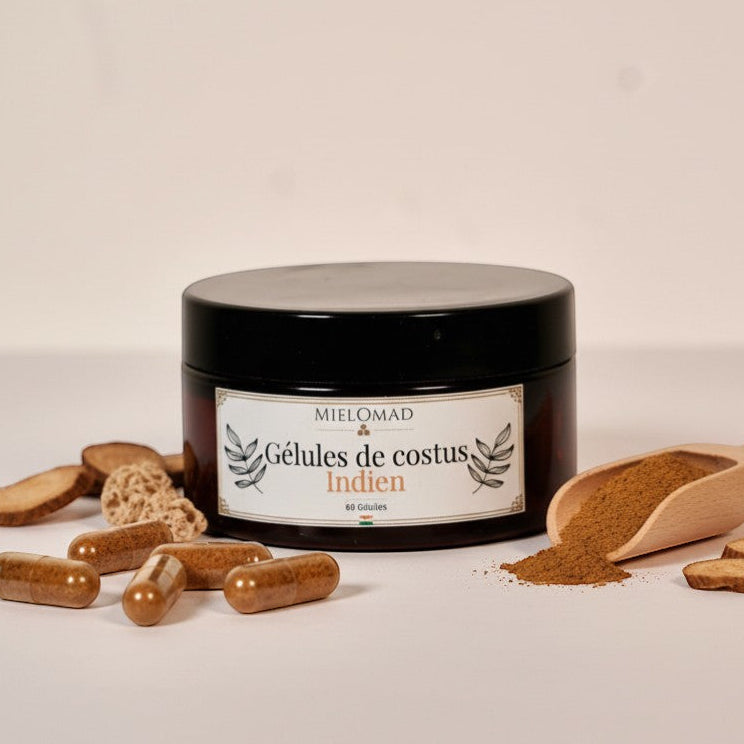 Gélules de costus Indien